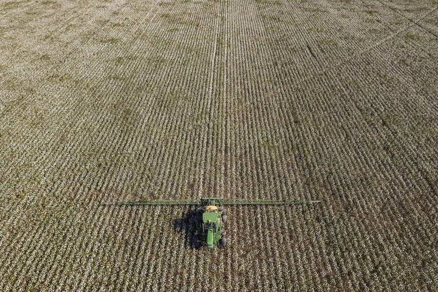Archive photo: a crop sprayer applies defoliant to a cotton field in Batesville, Texas, August 2020. The chemical is not identified as a Corteva product.